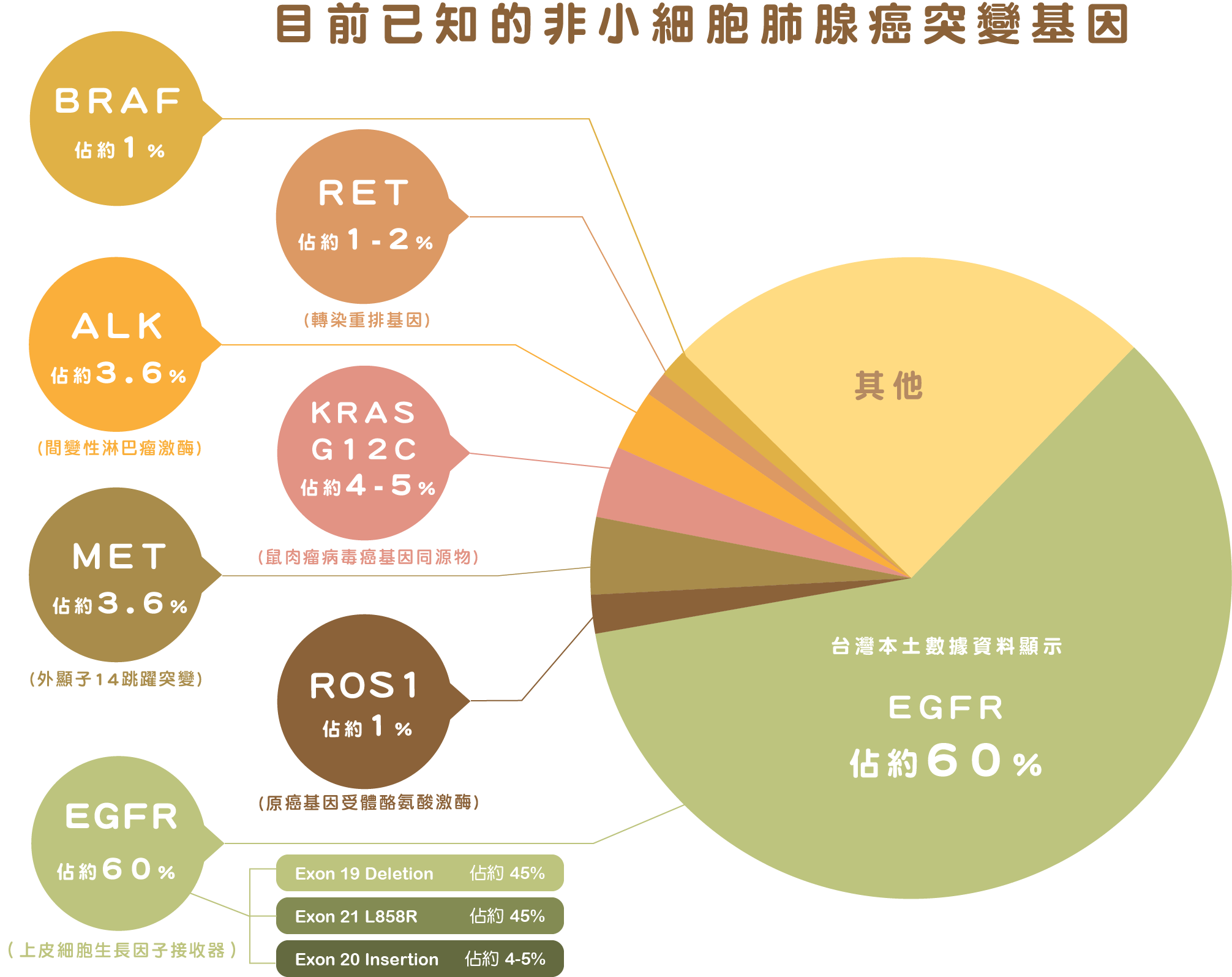 目前已知的非小細胞肺腺癌突變基因