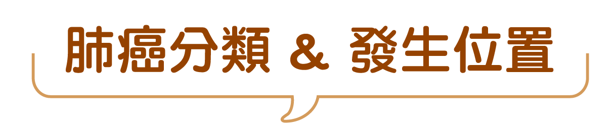 肺癌分類&發生位置