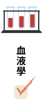 檢查4