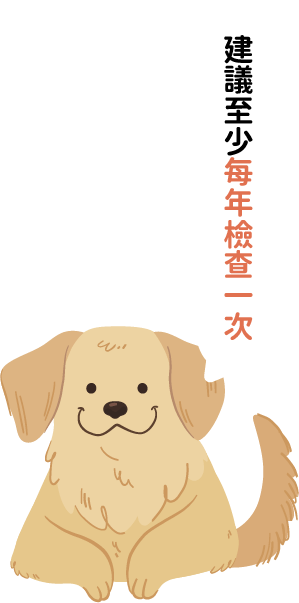 狗狗