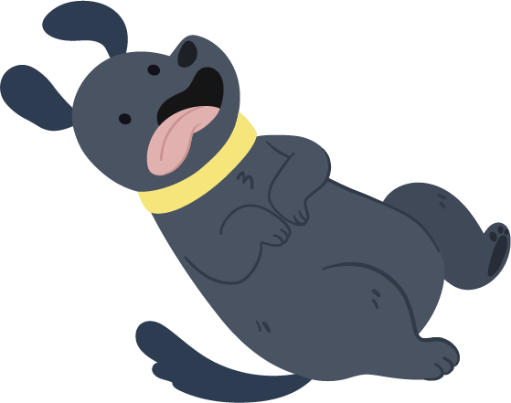 狗狗