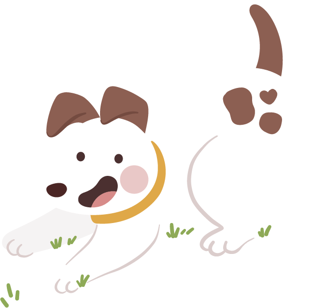 狗狗