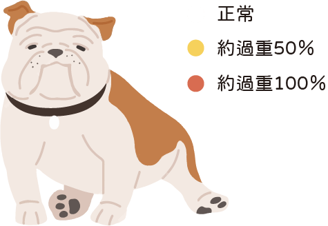 過重表格