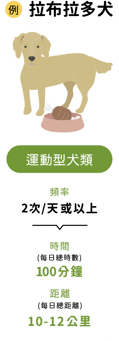 狗