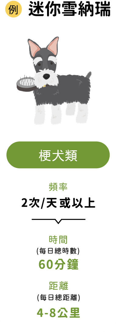 狗