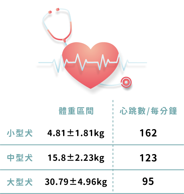 表格