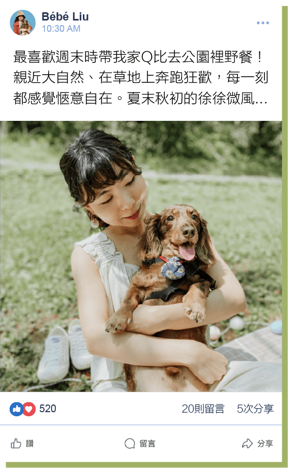 前往晒寵區