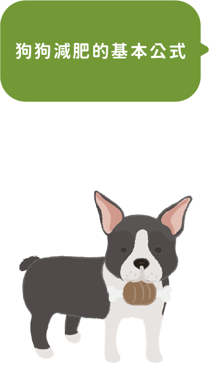 表格