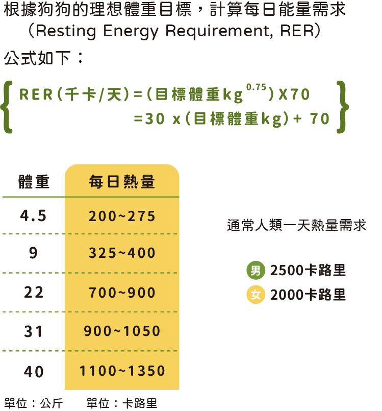 表格