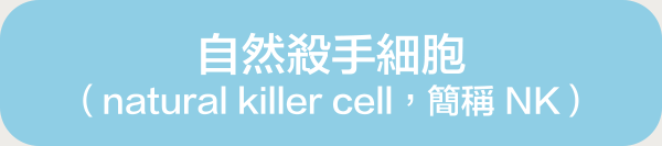 自然殺手細胞 (natural killer cell,簡稱 NK)
