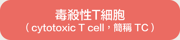 毒殺性T細胞 (cytotoxic T cell,簡稱 TC)