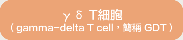γδ T細胞 (gamma-delta T cell,簡稱GDT)