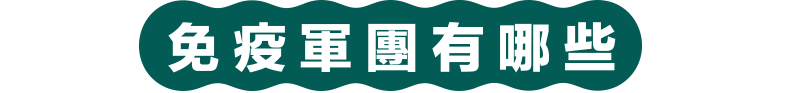 免疫軍團有哪些