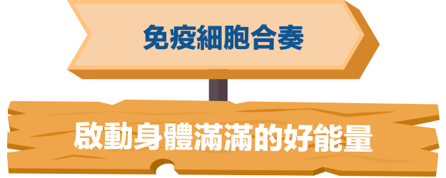 免疫細胞合奏 啟動身體好能量