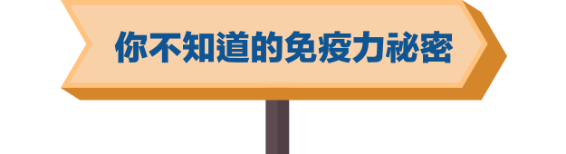 你不知道的免疫力秘密