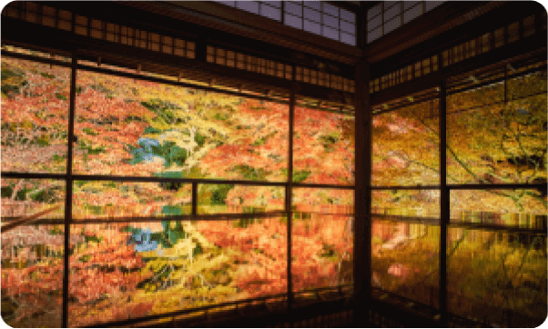 為大人設計的旅行