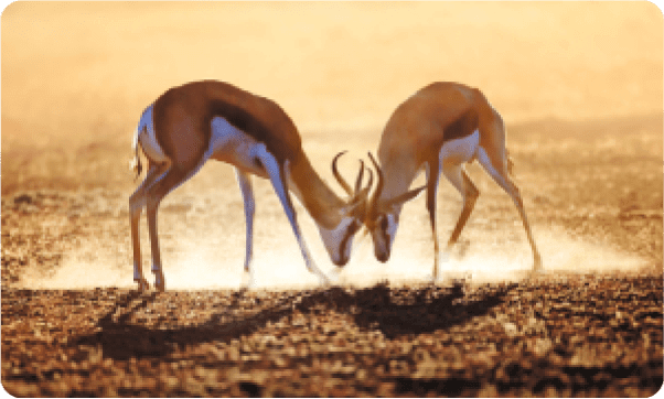 為大人設計的旅行